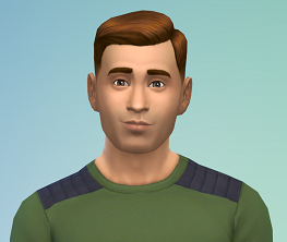 sim 4.png