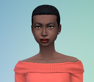sims 6.png